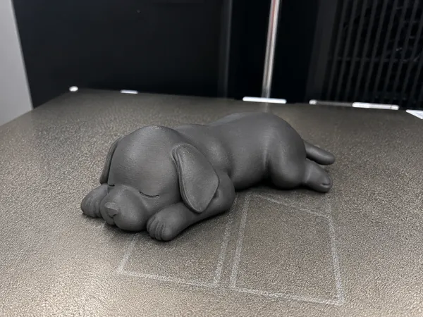 Chiot endormi, compagnon de bureau