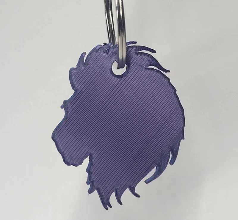 lion key chain