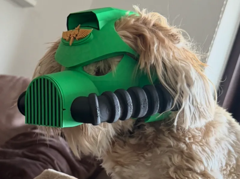 DogHammer  - Astartes-Cosplay-helmet for dogs