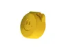 Large Smiley Case