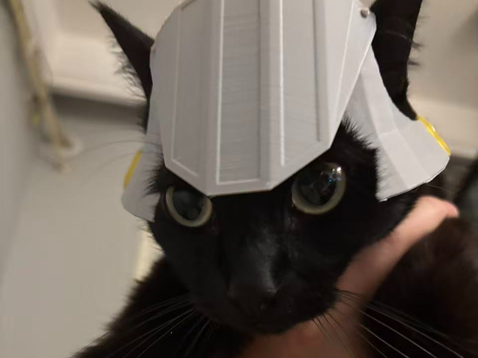 怪物猎人艾露猫猫头盔