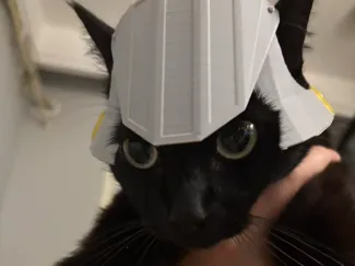 怪物猎人艾露猫猫头盔
