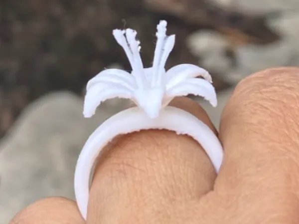 https://makerworld.bblmw.com/makerworld/model/USe74bbf46caf2c4/design/2025-07-18_84f66329d670d8.jpg