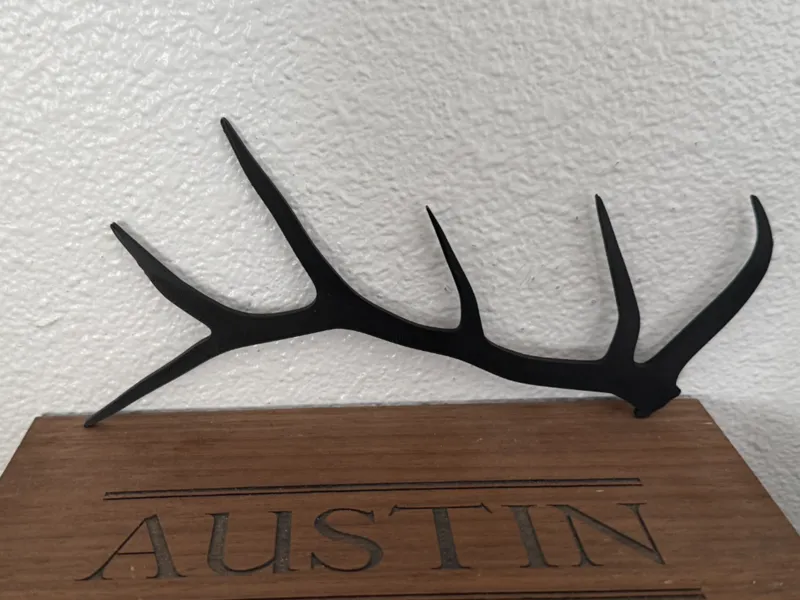 Elk Antler Wall Art