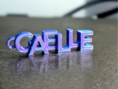 GAELLE Keyring