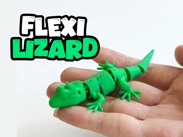 https://makerworld.bblmw.com/makerworld/model/USe74d4daa4729fe/design/050fa09a5bb720f0.jpg