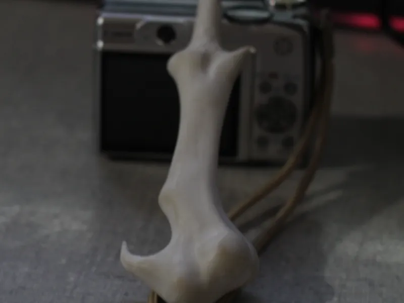 voldemorts wand