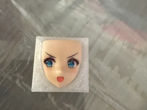 https://makerworld.bblmw.com/makerworld/model/USe755256aa318a9/design/c41a53de-3632-4d08-9c6e-1622a2ab22df.webp