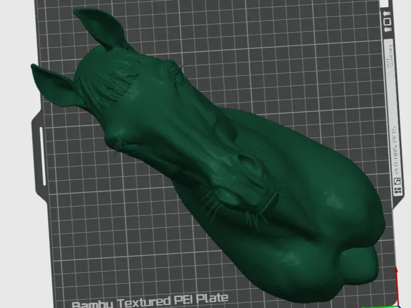 Horse Head