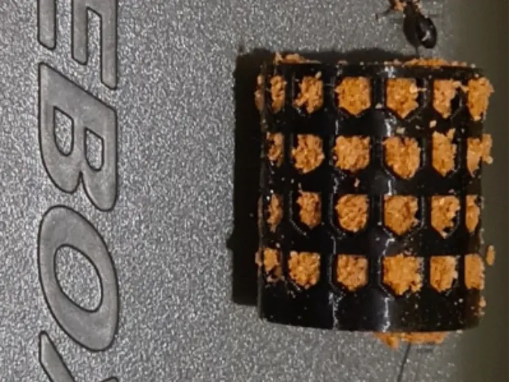 Carp inline cage feeder