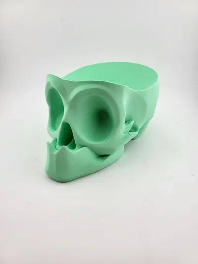 skull bowl candy and key by Mad power MakerWorld: Download Free 3D Models