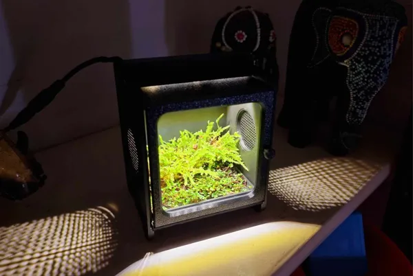 https://makerworld.bblmw.com/makerworld/model/USe75fe898573bcc/design/2024-02-23_800ca90edae76.jpg