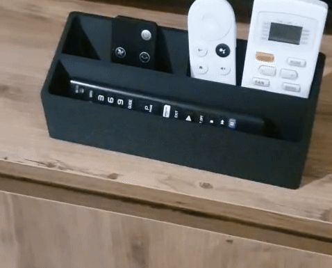 Remote controller organizer