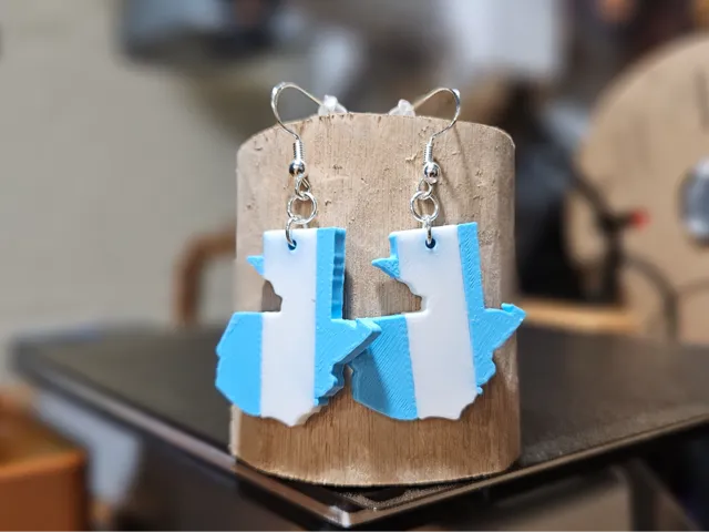 Guatemalan Flag Earrings