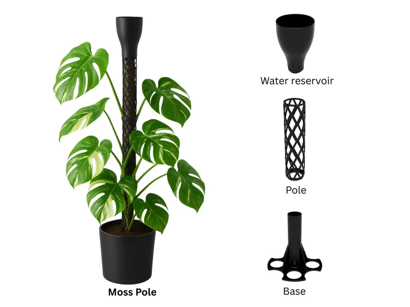 Modularer Moss Pole 65mm/45mm mit Wasserreservoir