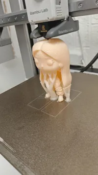 0.2mm layer, 3 walls, 15% infill