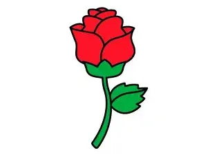 Flor_AFA