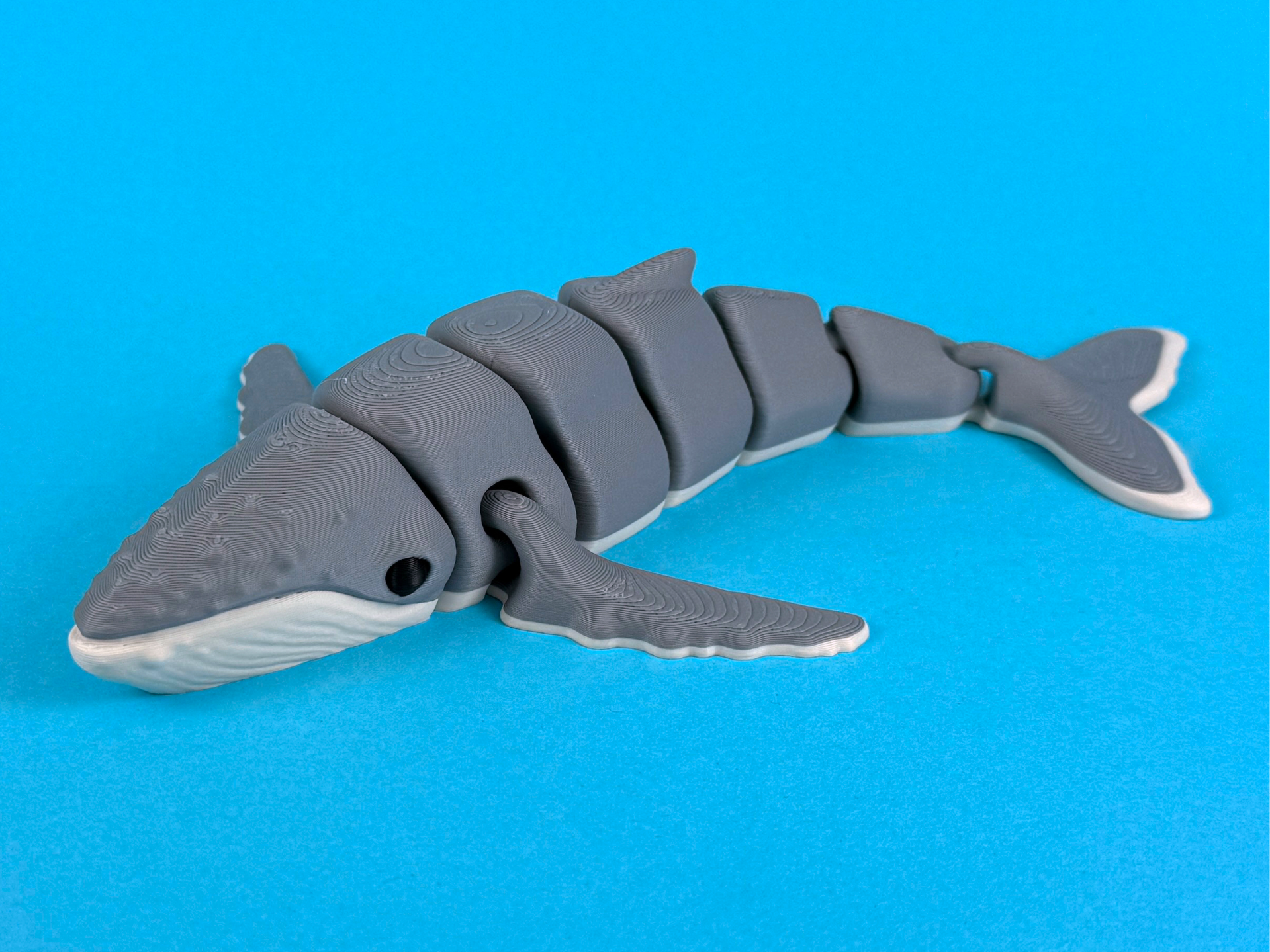 Articulated Humpback Whale - 1