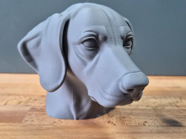 https://makerworld.bblmw.com/makerworld/model/USe77c7a073e1c88/design/2025-05-28_586ac26bc02a6.jpg