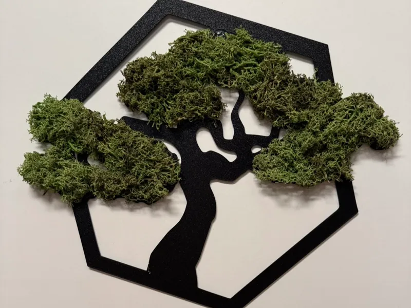 Moosbild Baum Hexagon Bonsai look 