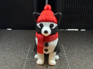 Border Collie, Chiot de Nöel 