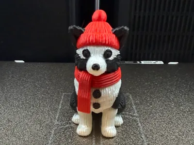 Border Collie, Christmas Puppy 