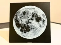 0.08mm layer, 2 walls, 100% infill