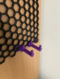 PETG 0.2mm layer, 4 walls, 25% infill