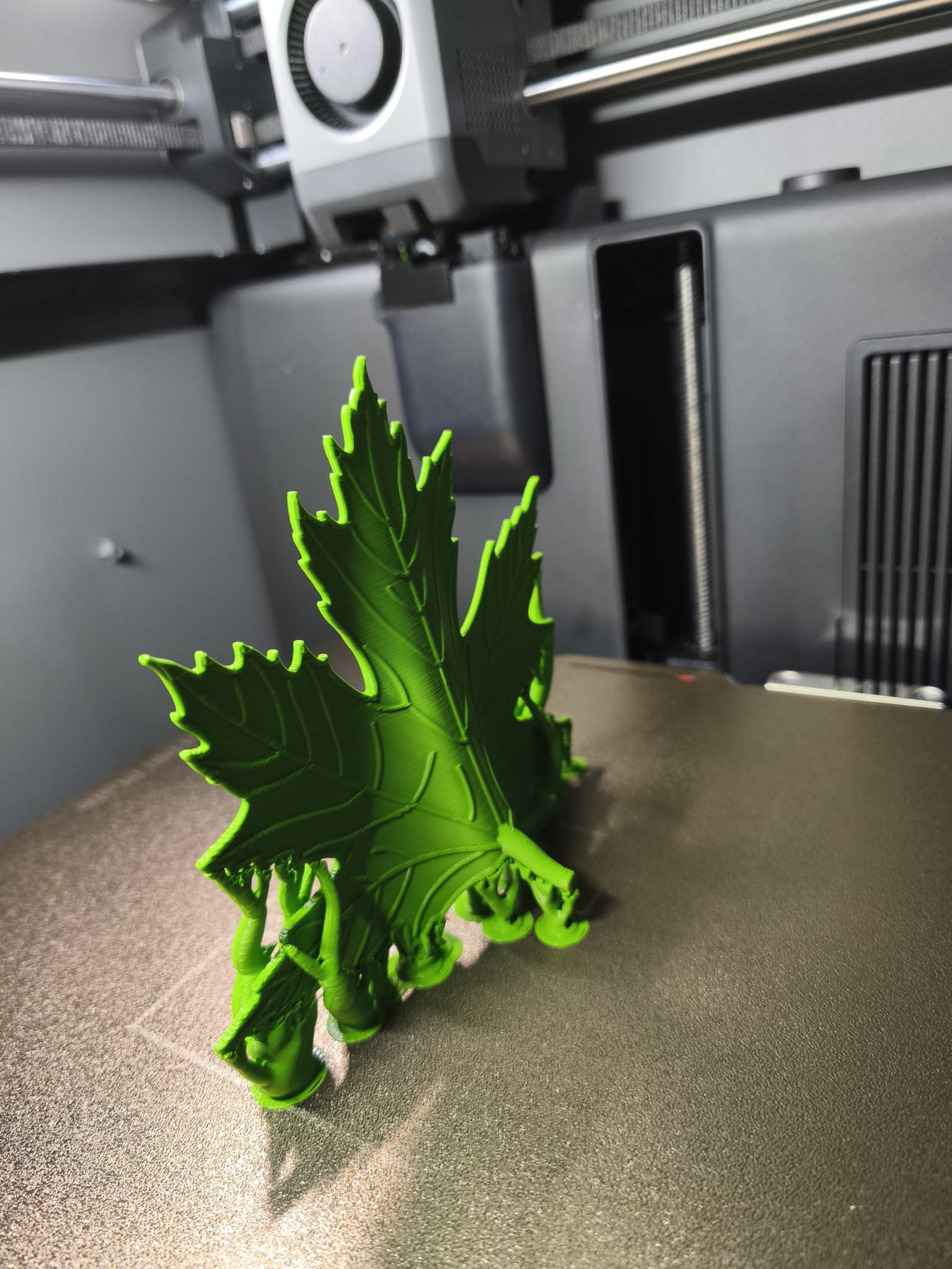 Miniatura 3 do modelo 3D Leaf - door stopper 