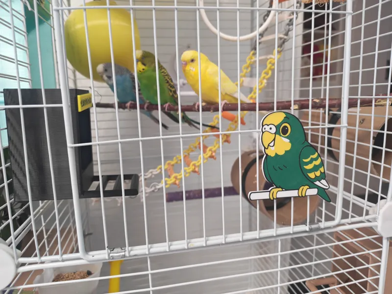 鹦鹉冰箱贴