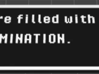 DETERMINTION, Undertale
