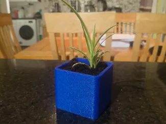 happy plant pot 
