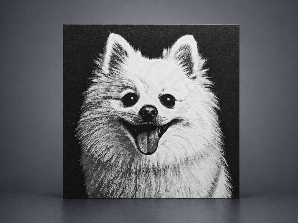 White Pomeranian