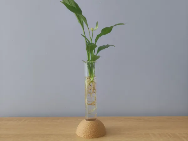 https://makerworld.bblmw.com/makerworld/model/USe799dc4cc90f98/design/787f19323c4b1980.jpg