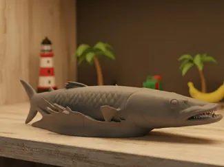 Barracuda