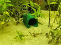 Cachette pour crevettes et poissons d'aquarium — photo 1