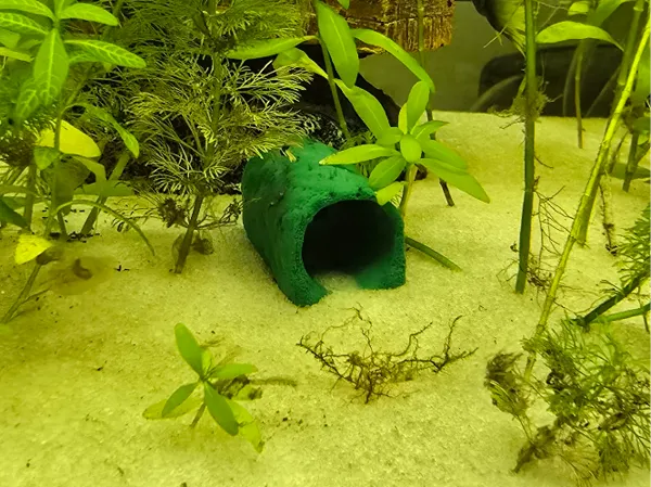 Cachette pour crevettes et poissons d'aquarium