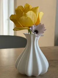Vase hivernal — photo 2
