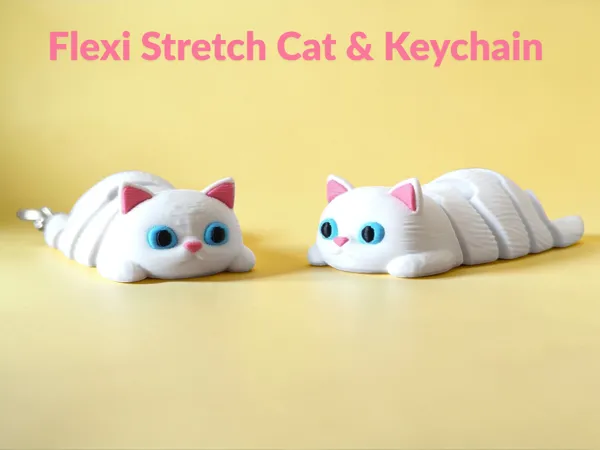 https://makerworld.bblmw.com/makerworld/model/USe79d0678732167/design/f8a6e3bc45a5194b.png