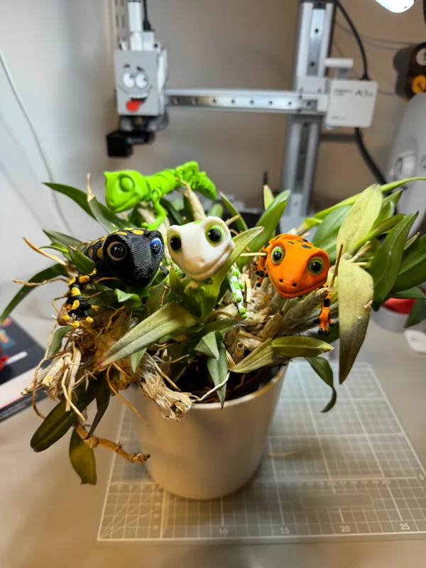 https://makerworld.bblmw.com/makerworld/model/USe79dbf3c45e74b/design/2024-02-29_34148c44c22e4.jpg