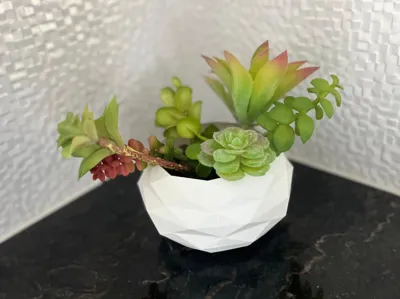 Modern Planter