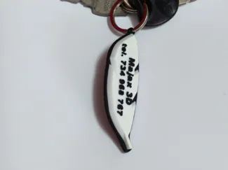 Feather - shaped keychain
