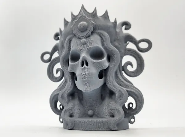 https://makerworld.bblmw.com/makerworld/model/USe79f599807f79d/design/2025-01-16_da045g13j8sk.jpg