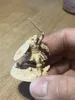 0.2mm nozzle, 0.05mm layer, 4 walls, 15% infill
