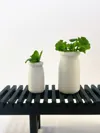 Vase 1 (0.08mm layer, 2 walls, 15% infill)