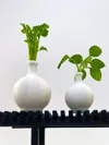 Vase 3 (0.08mm layer, 2 walls, 15% infill)