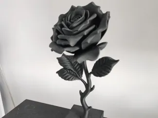 Rose black