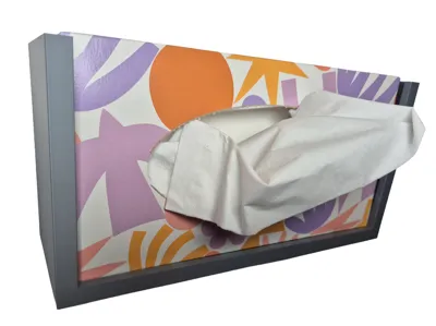Wall Mount for Tissue Boxes ( Support-Free )