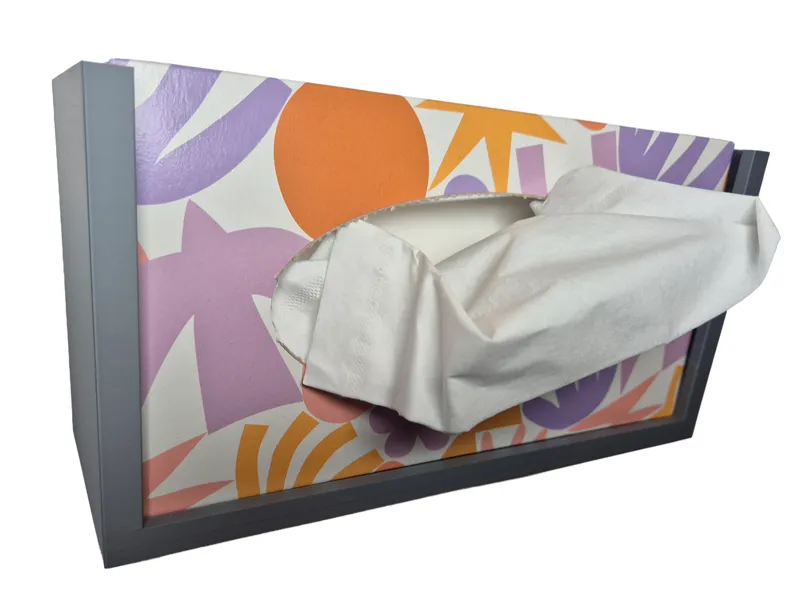 Wall Mount for Tissue Boxes ( Support-Free )