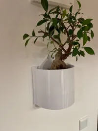 0.2mm layer, 3 walls, 20% infill